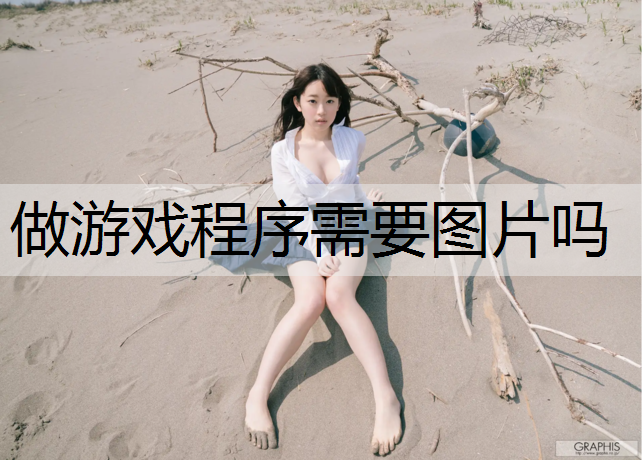做游戏程序需要图片吗