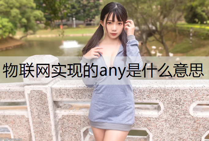 物联网实现的any是什么意思